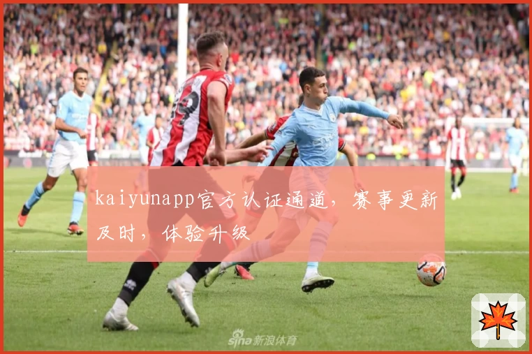 kaiyunapp官方认证通道，赛事更新及时，体验升级